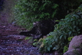 album/06232026/DSC_0991.JPG