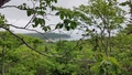 album/06232026/IMG20260623152433.jpg