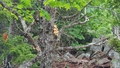 album/06232026/IMG20260623152452.jpg
