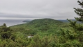 album/06232026/IMG20260623161019.jpg