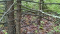 album/06232026/IMG20260623170148.jpg