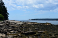 album/06242026/DSC_0012.JPG