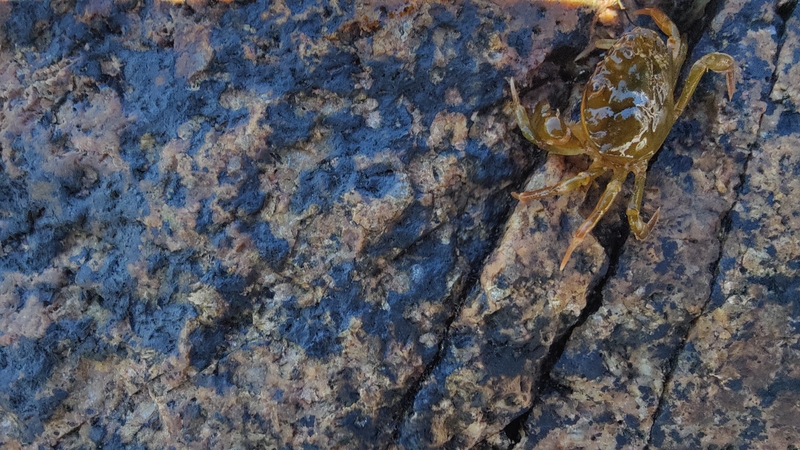 album/06242026/images/IMG20260624120131.jpg
