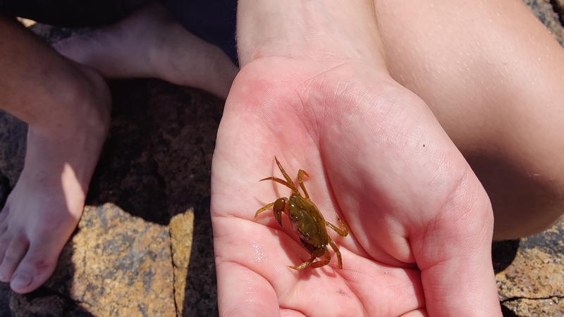 album/06242026/images/IMG20260624120144.jpg