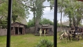 album/06262026/IMG20260626174208.jpg