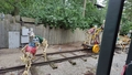 album/06262026/IMG20260626174450.jpg
