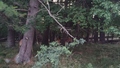 album/07082025/IMG20250708214644.jpg