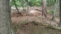 album/07092025/IMG20250709120802.jpg