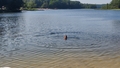 album/07152025/IMG20250715173155.jpg