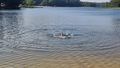 album/07152025/IMG20250715173205.jpg
