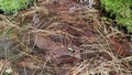 album/07162025/IMG20250716174335.jpg