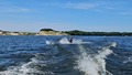 album/07182025/20250718_172316.jpg