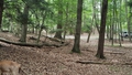 album/07192025/IMG20250719142455.jpg