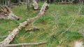 album/07192025/IMG20250719152459.jpg