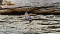 album/07292025/IMG20250729130557.jpg