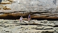 album/07292025/IMG20250729130608.jpg