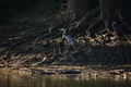 album/08062025/DSC_0196.JPG