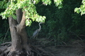 album/08062025/DSC_0198.JPG