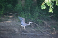 album/08062025/DSC_0203.JPG