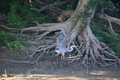 album/08062025/DSC_0211.JPG