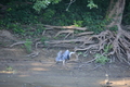 album/08062025/DSC_0218.JPG
