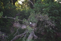 album/08062025/DSC_0233.JPG