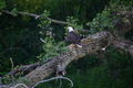 album/08062025/DSC_0238.JPG