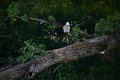 album/08062025/DSC_0240.JPG