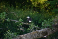 album/08062025/DSC_0243.JPG
