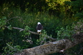 album/08062025/DSC_0245.JPG
