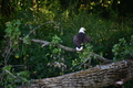 album/08062025/DSC_0246.JPG