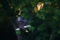 album/08062025/DSC_0250.JPG