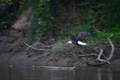 album/08062025/DSC_0256.JPG