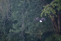 album/08062025/DSC_0265.JPG