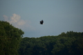 album/08062025/DSC_0279.JPG