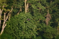 album/08062025/DSC_0281.JPG