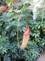 album/08072015/DSCN9370.JPG