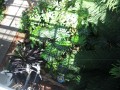 album/08072015/DSCN9371.JPG