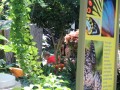 album/08072015/DSCN9373.JPG