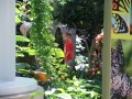 album/08072015/DSCN9375.JPG