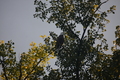 album/090620252/DSC_0213.JPG