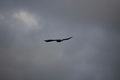 album/090620252/DSC_0218.JPG