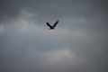 album/090620252/DSC_0220.JPG