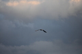 album/090620252/DSC_0223.JPG