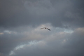 album/090620252/DSC_0225.JPG