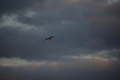 album/090620252/DSC_0252.JPG