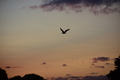 album/090620252/DSC_0260.JPG