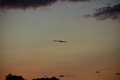 album/090620252/DSC_0262.JPG