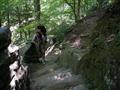 album/09092012/DSCN8907.JPG