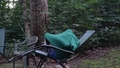 album/09092025/IMG20250909201745.jpg